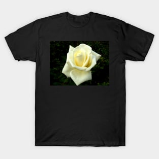 A Portrait of a Rose T-Shirt